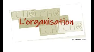 Miniature : L'organisation by Echo Learning - J Baste