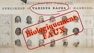 Miniature : La biologie des races humaines (ça n'existe pas)