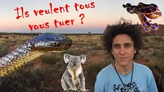 Miniature : 6 trucs bizarres sur la faune Australienne (avec Gaël de Labologie @labologie )
