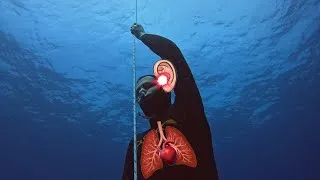 Miniature : Vous pouvez retenir votre respiration au moins 2 minutes (et vous ne le savez probablement pas)