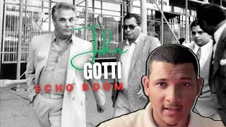 Miniature : John Gotti, parrain de la mafia - Même le téflon finit par coller