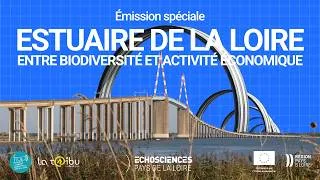 Miniature : L'estuaire de la Loire : préserver l'équilibre entre les écosystèmes et les activités humaines