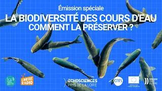 Miniature : Préserver les cours d’eau, protéger la biodiversité : quelles solutions ? L'EAU, UN ENJEU DE SOCIÉTÉ