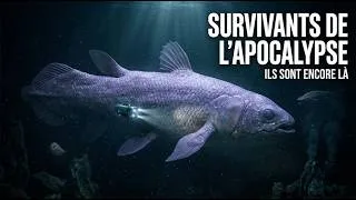 Miniature : Ils ne devraient pas exister  Les survivants de l'extinction au fond du gouffre.