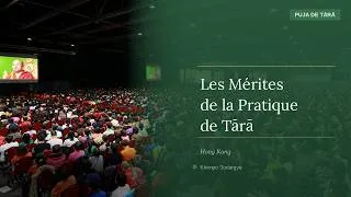 Miniature : Tara : La Force de la Bienveillance. Comment s'orienter dans le tumulte du monde moderne ? ✨