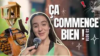 Miniature : UN DÉBUT PROMETTEUR 🌿VLOG 2