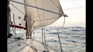 Miniature : CAP-VERT - SAINTE LUCIE : La Transat d'ECODYSEA