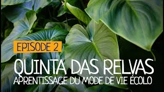 Miniature : EP 2 - QUINTA DAS RELVAS, PORTO