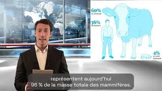 Miniature : 🐝 [L’image du mois] La Biodiversité : l’alerte silencieuse du vivant !
