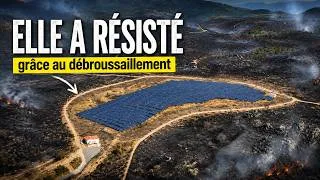 Miniature : Cet incendie a rasé 5 000 hectares, sauf cette centrale solaire