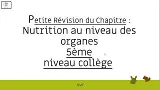Miniature : révisions de SVT 1 - 5ème Nutrition au niveau des organes '' Questions réponses ''