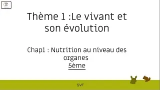 Miniature : Cours de SVT 1 - 5ème Nutrition au niveau des organes