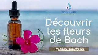 Miniature : Découvrir les Fleurs de Bach 🌸 – Présentation & Formations Niveau 1 & 2 avec Dominick