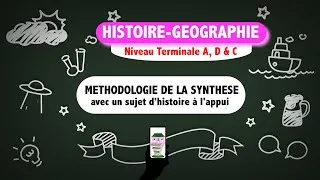 Miniature : Cours terminale A, D & C (Méthodologie de la Synthèse en Histoire-Géographie)