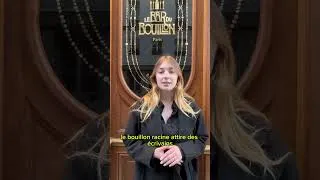 Miniature : LES HISTOIRES DE CAMONDO | Le Bouillon Racine