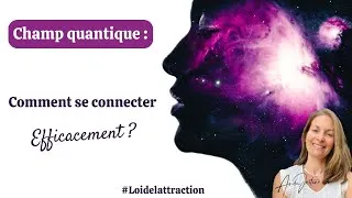 Miniature : Comment se connecter au champ quantique ?