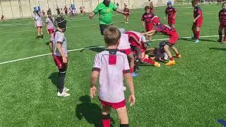 Miniature : Ovalive LOU   Aurillac