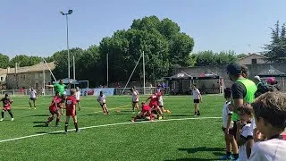 Miniature : Ovalive LOU - Stade Toulousain