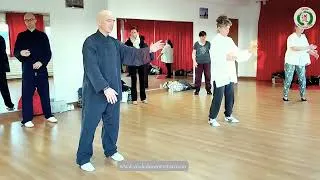 Miniature : Master Classe Mains Nuages Qi Gong avancé : Tingjin, Vide & Plein – Extrait  avec Philippe Aspe
