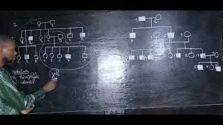 Miniature : Svt TS et TL/ Établissement d'un génotype 