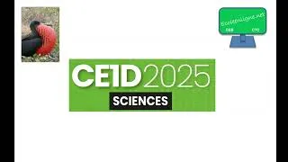 Miniature : CE1D 2025 (rapport d'expérience) - question 13 + corrigé