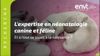 Miniature : Et si tout se jouait à la naissance ?