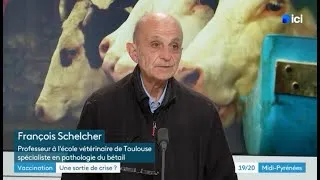 Miniature : DNC - « La vaccination n’est pas qu’un outil : c’est une stratégie de prévention. »