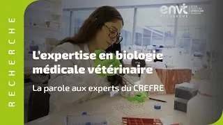 Miniature : L'expertise en biologie médicale vétérinaire : la parole aux experts du CREFRE
