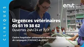 Miniature : Urgences et soins intensifs de l'ENVT