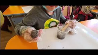 Miniature : Make seed bombs for pollinators