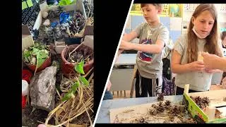 Miniature : Build an hotel for insects