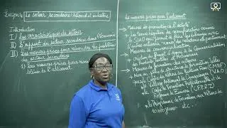 Miniature : Cours Géographie TleA Chap1 Leçon4 Seq03D Le secteur secondaire Artisanat et industrie