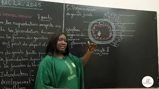 Miniature : Exercices - Terminale L2 - SVT: Correction BAC 2025 / Maitrise des connaissances / Mme. Cissé