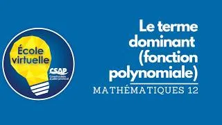 Miniature : Mathématiques 12 - Le terme dominant (fonction polynomiale)