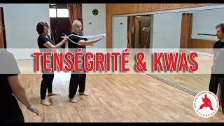 Miniature : Tenségrité et action des Kwas - Chen Taijiquan Practical Method