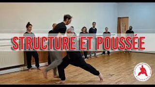 Miniature : Structure et Poussée - Chen Taijiquan Practical Method