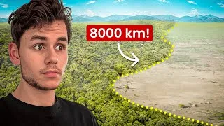 Miniature : 8000 km d’Arbres pour stopper le Désert (La Grande Muraille Verte)