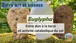 Miniature : Projet EUGLYPHA: étape expérimentale d'enfouissement de nourriture pour les micro-organismes ..