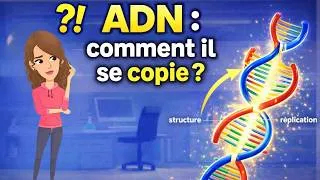 Miniature : Génétique : Structure et réplication  de l'ADN expliquées simplement 🧬