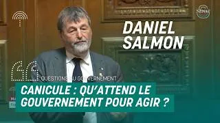 Miniature : Canicule : qu'attend le Gouvernement pour agir ? | Daniel Salmon