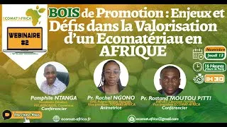 Miniature : Webinaire 2 | Bois de promotion : enjeux et défis de la valorisation d'un écomatériau en Afrique