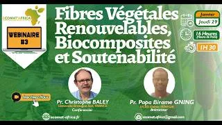 Miniature : ECOMAT-AFRICA Webinaire 3-  Fibres Végétales Renouvelables, Biocomposites Et Soutenabilité