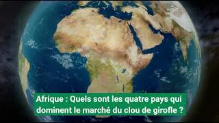 Miniature : Afrique : Quels sont les quatre pays qui dominent le marché du clou de girofle ?