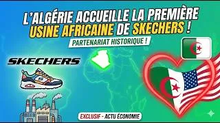 Miniature : 🔴🔥🇩🇿🇺🇲L'Algérie frappe fort : La marque américaine Skechers choisit notre pays !