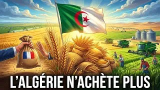 Miniature : Pourquoi l’Algérie tourne le dos au blé européen