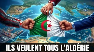 Miniature : Pourquoi l’Europe et la Chine se disputent discrètement l’Algérie