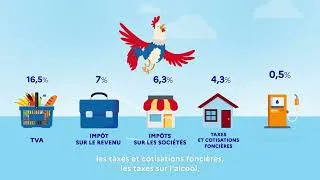 Miniature : Budget de la France : aux chiffres citoyens !