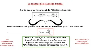 Miniature : 📉💡 Élasticité Prix Croisé: Courbes d'Utilité & Biens Giffen Expliqués! 🔄