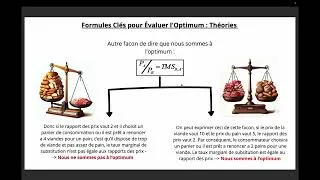 Miniature : 📊 Combinaison des Courbes d'Utilité et Contrainte Budgétaire - Partie 2