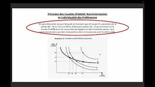 Miniature : 📈 Décrypter les Courbes d'Indifférence : Au Cœur des Choix du Consommateur (partie 1)